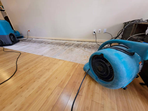 Professional Water Damage Repair technician working in Orange Beach, AL